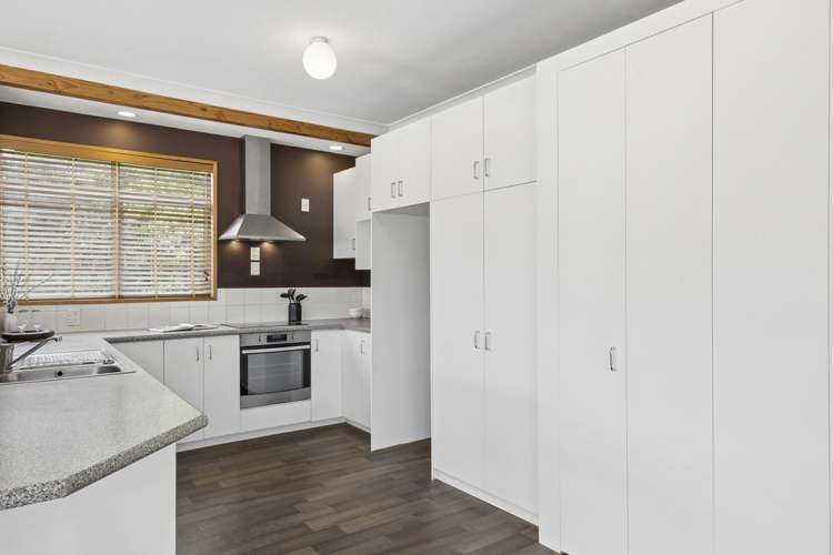 59 Aytoun Street Waverley_7