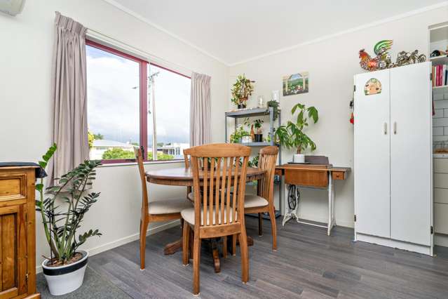 93 Goring Street Opotiki and Surrounds_3