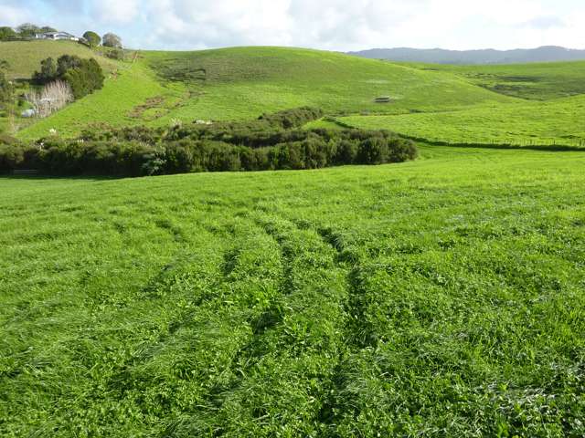 Address withheld Matakana_4