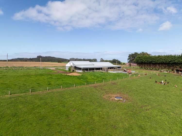 963 Centre Road Waipango_5