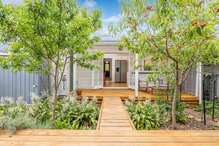 39 Primrose Street Frankton_8