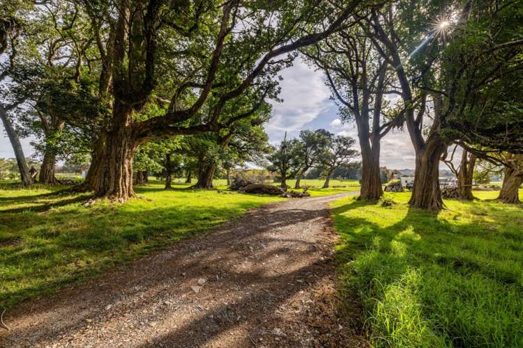 377 Waikaramu Road Waimate North_3