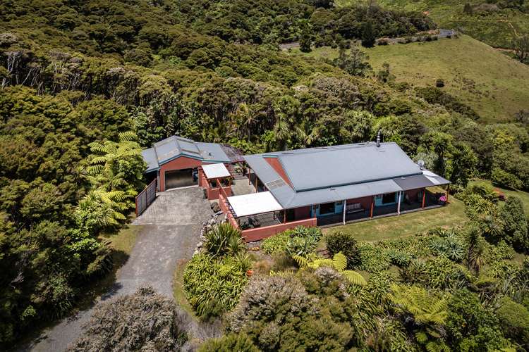 206 Colville Road Coromandel_9