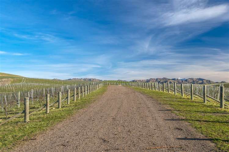 5468 State Highway 1 Seddon_25