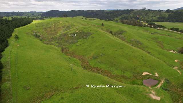 Golden Stairs Rd Maungaturoto_4