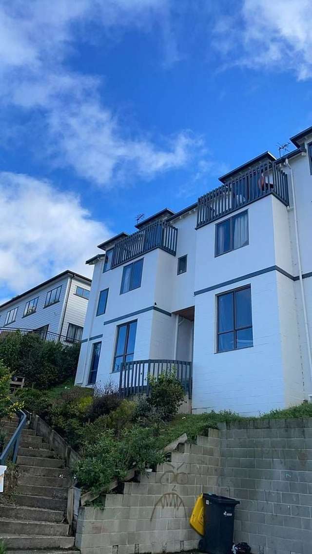 148 Queen Street North Dunedin_4