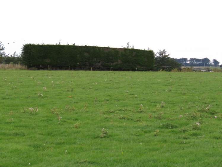 665 North Makarewa Grove Bush Road Makarewa_6