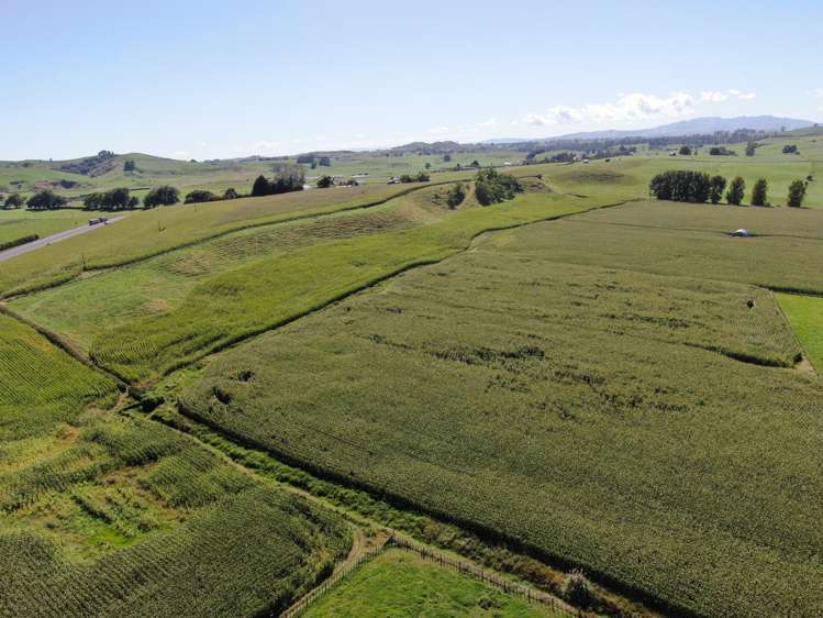 1375 State Highway 3 Otorohanga_12