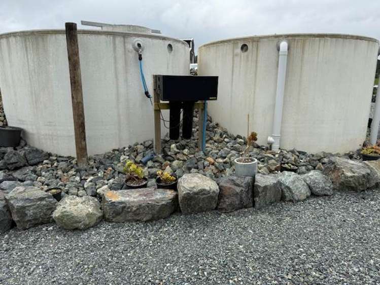 717 Millbrook Road Waipu_6