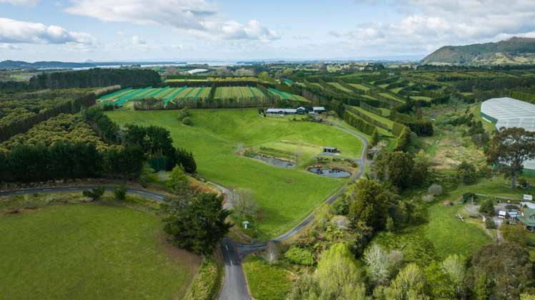 193 Capamagian Drive Athenree_36