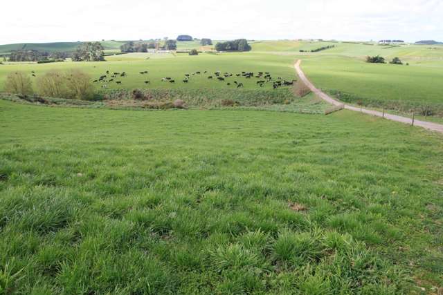 96 Lower Hunter Road Hawera_4