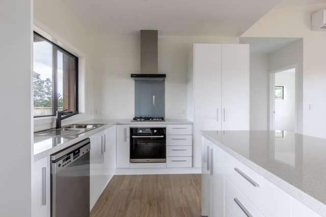 23A Guy Street Dannevirke_4