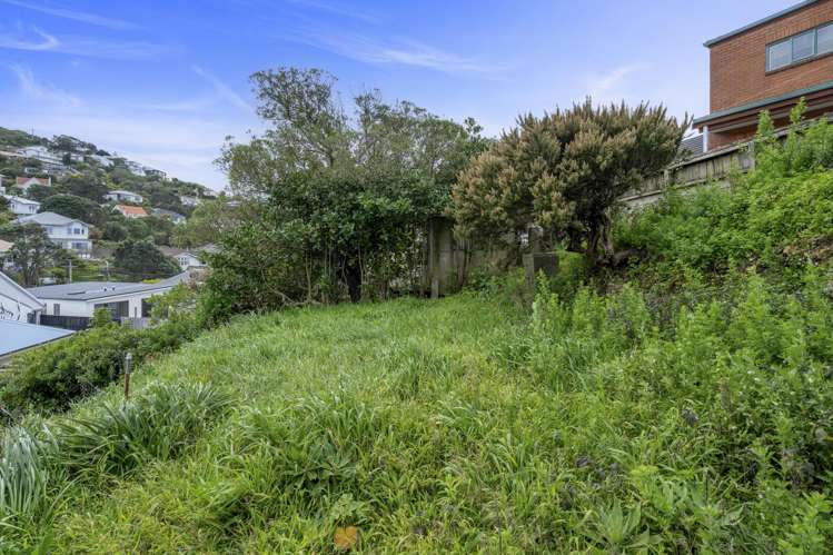 5 Arawa Road Hataitai_15