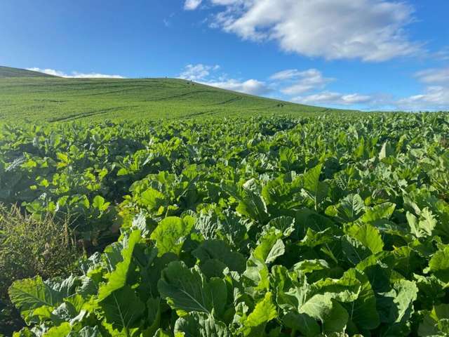 55 Rutherford Road Albury_2