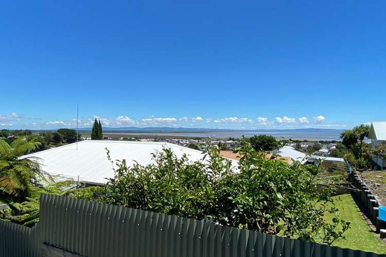 905 Sealey Street Thames_18