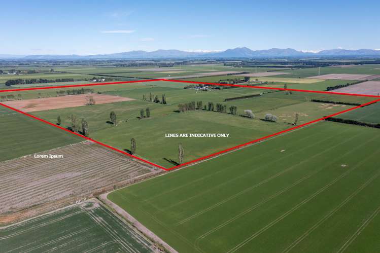 1033 Boundary Road Ashburton_6