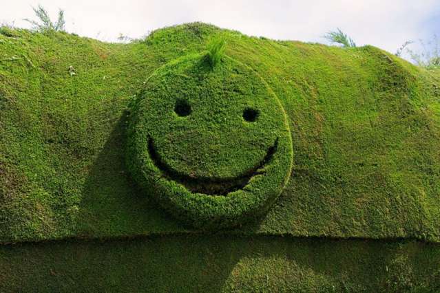 1235 Parnassus Road Ferniehurst_2