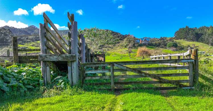 3195A Tiki Road_4