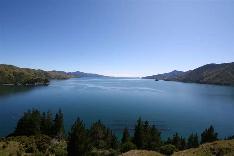 Admiralty Bay Marlborough Sounds_9