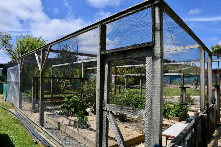 131 Oparara Road Karamea_16