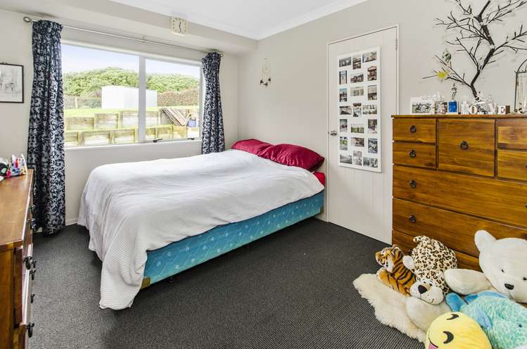 439 Clark And Denize Road Pukekawa_9