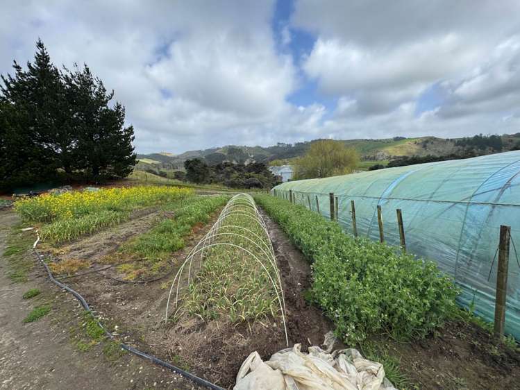 1755 South Head Road South Head_11