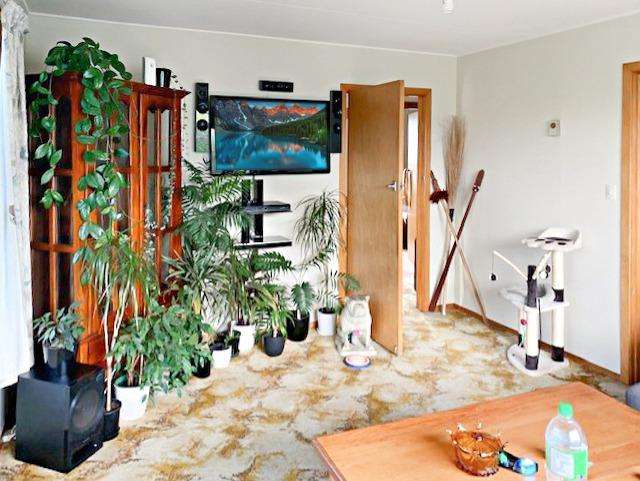 16 Consitt Street 2132_3