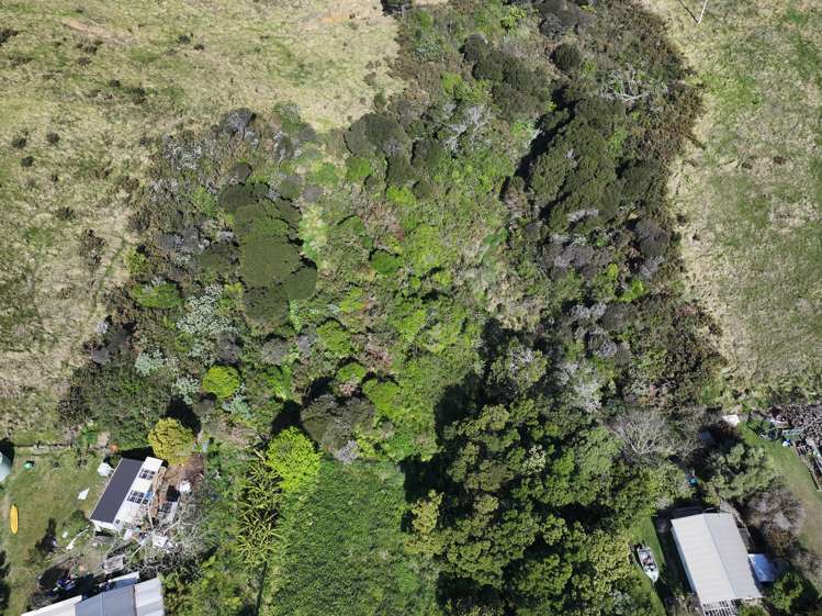 18 Paradise Road Coopers Beach_7