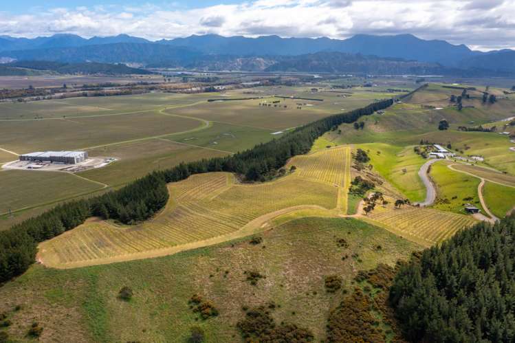 Delta Lake Heights Renwick_7