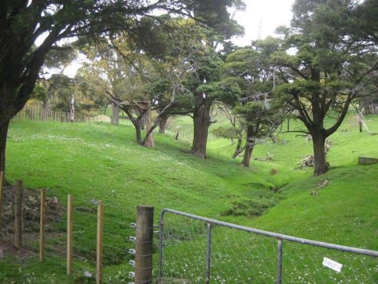 9124 Route 52 Weber_14