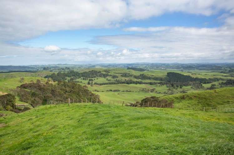 272 Broughton Road Ruawaro_21