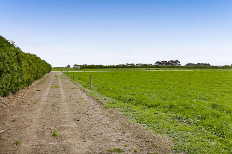 0n Ahipaipa Road Okaiawa_23