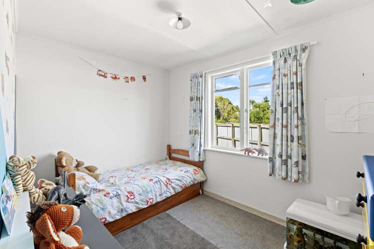 11 Flower Street Bulls_7