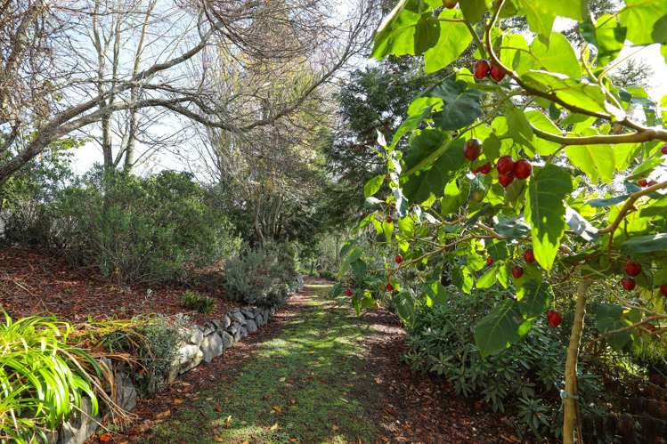 81 Brunswick Drive Tikitere_30