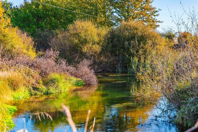 144 Earle Road Broadlands Forest_4