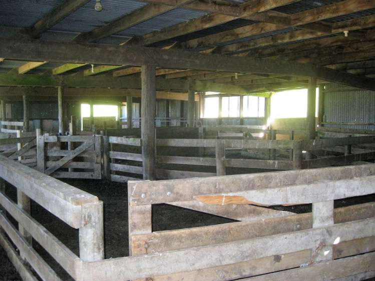 12271 Route 52 Pongaroa_12