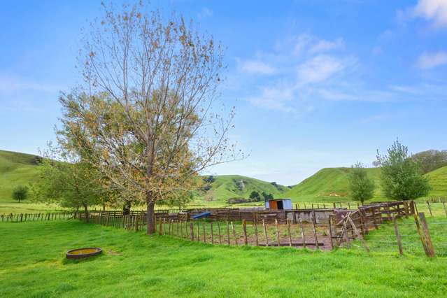 166 Airstrip Road Pikowai_2