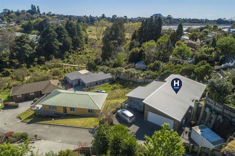 5k Winiata Street Brookfield_19