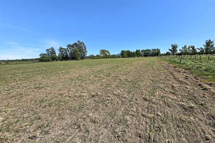 732 Rangiora Leithfield Road Leithfield_14