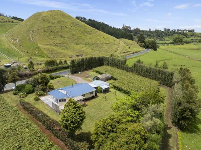 Prime investment - home with red kiwifruit income