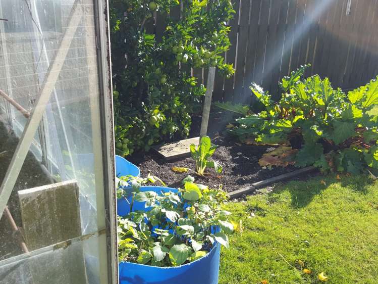 113 Broadway Carterton_3