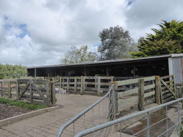 237 Kellow Road Rongotea_13