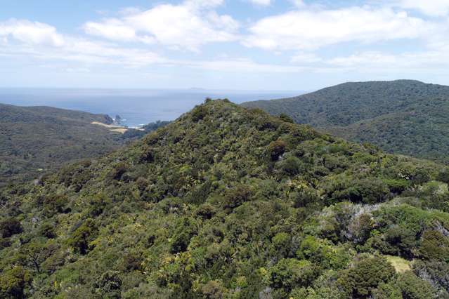 248 Rosalie Bay Road Great Barrier Island_4