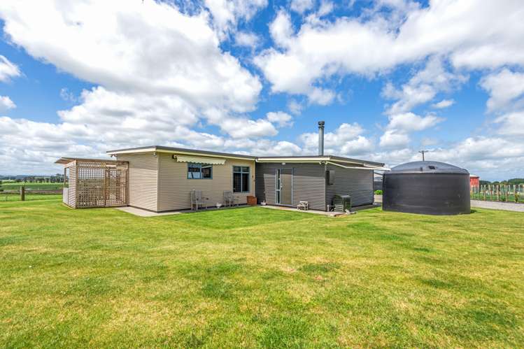 47 Viles Road Bulls_26