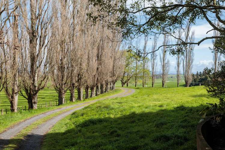 35 Chepmell Road Morrinsville_24