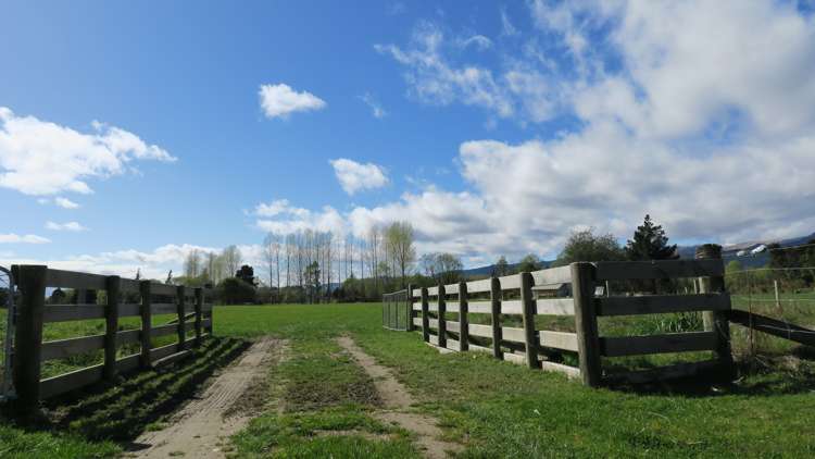 3957 Northbank Road Wairau Valley_14