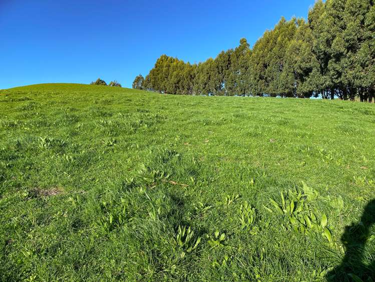 40 Whyte Road Tuatapere_7