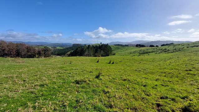 Cnr Milne and Aponga Stream Road Purua_2