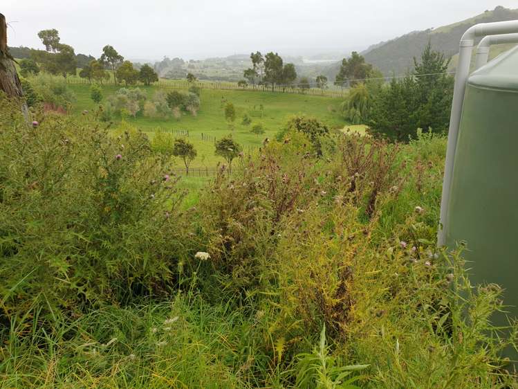 217 Heatley Road Whakapirau_20