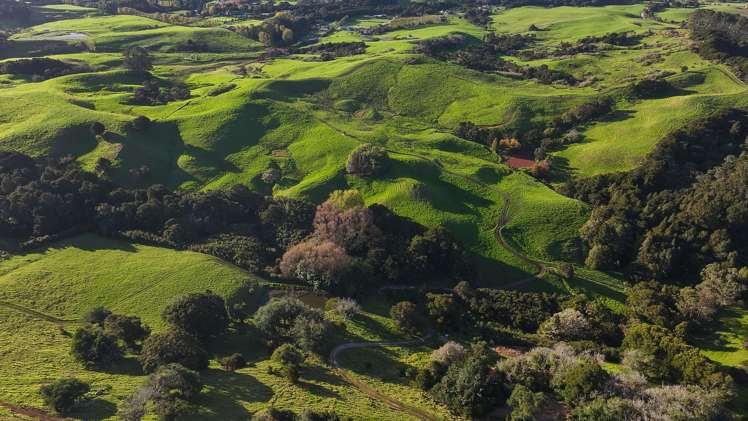 Lot Lot 2/404 Tara Road Mangawhai_9